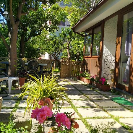 Villino L'Aranceto Sorrentino Bed & Breakfast Meta Exterior photo