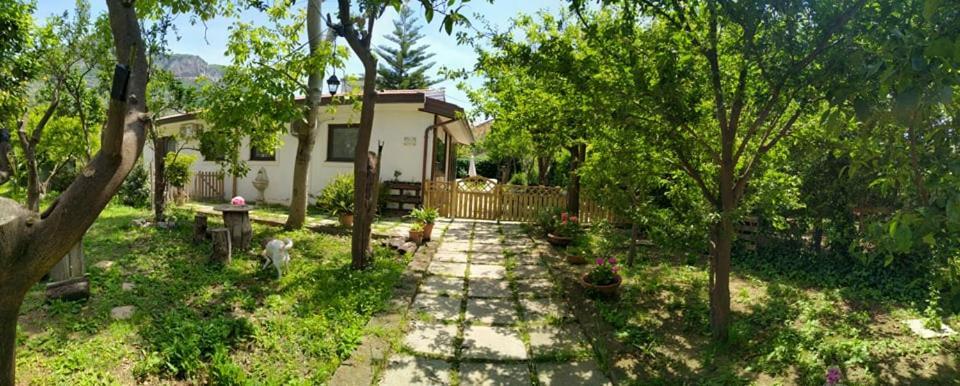 Villino L'Aranceto Sorrentino Bed & Breakfast Meta Exterior photo