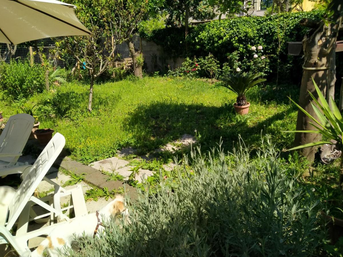 Villino L'Aranceto Sorrentino Bed & Breakfast Meta Exterior photo