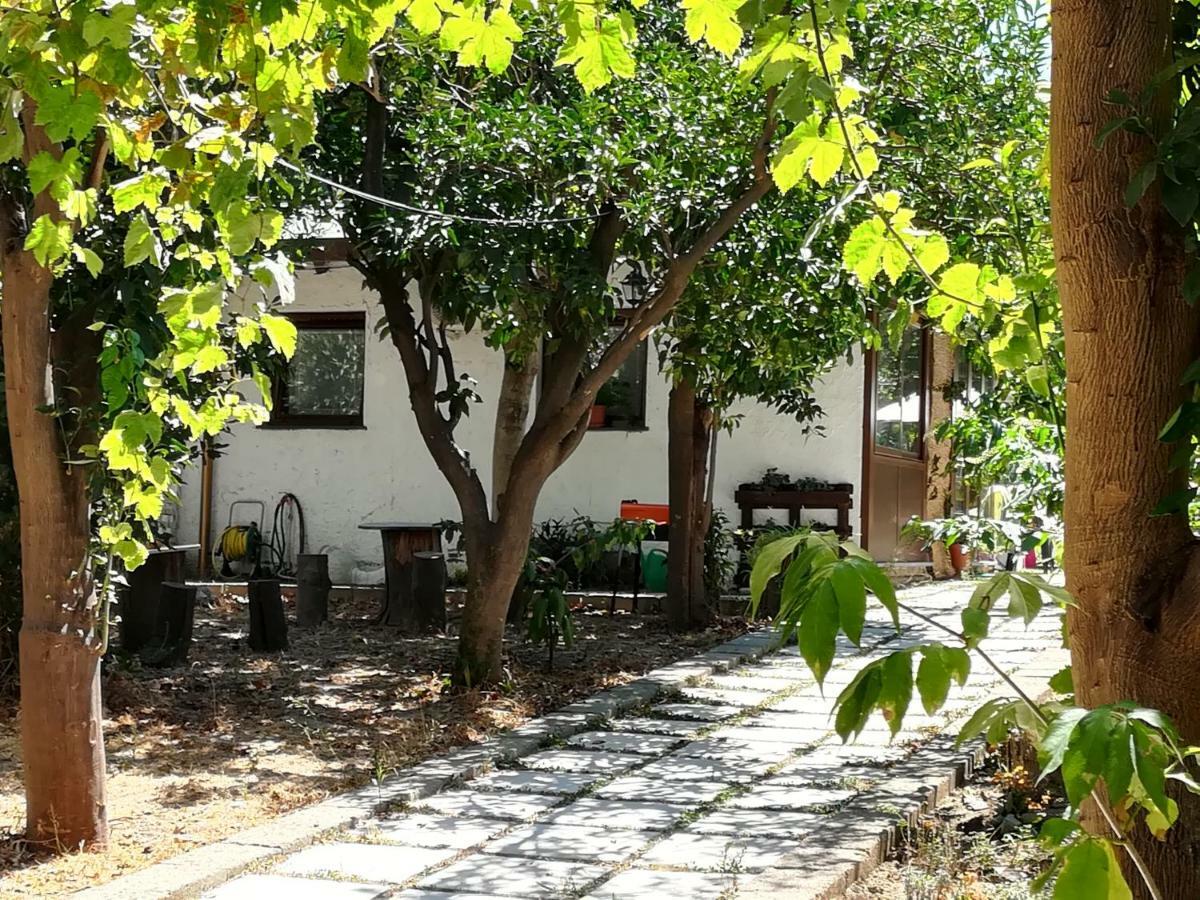 Villino L'Aranceto Sorrentino Bed & Breakfast Meta Exterior photo