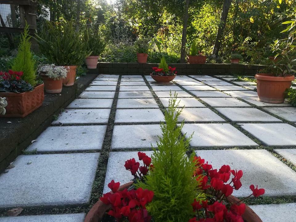 Villino L'Aranceto Sorrentino Bed & Breakfast Meta Exterior photo